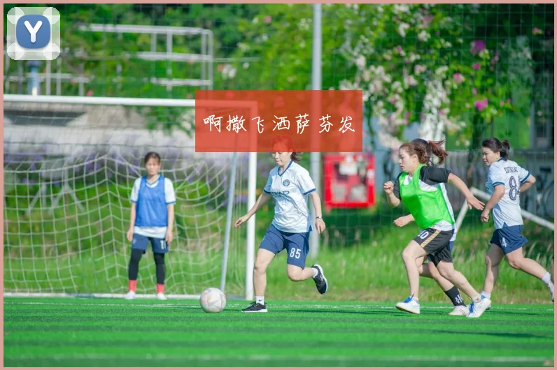 CBA自由市场动态:球员转会与签约最新消息